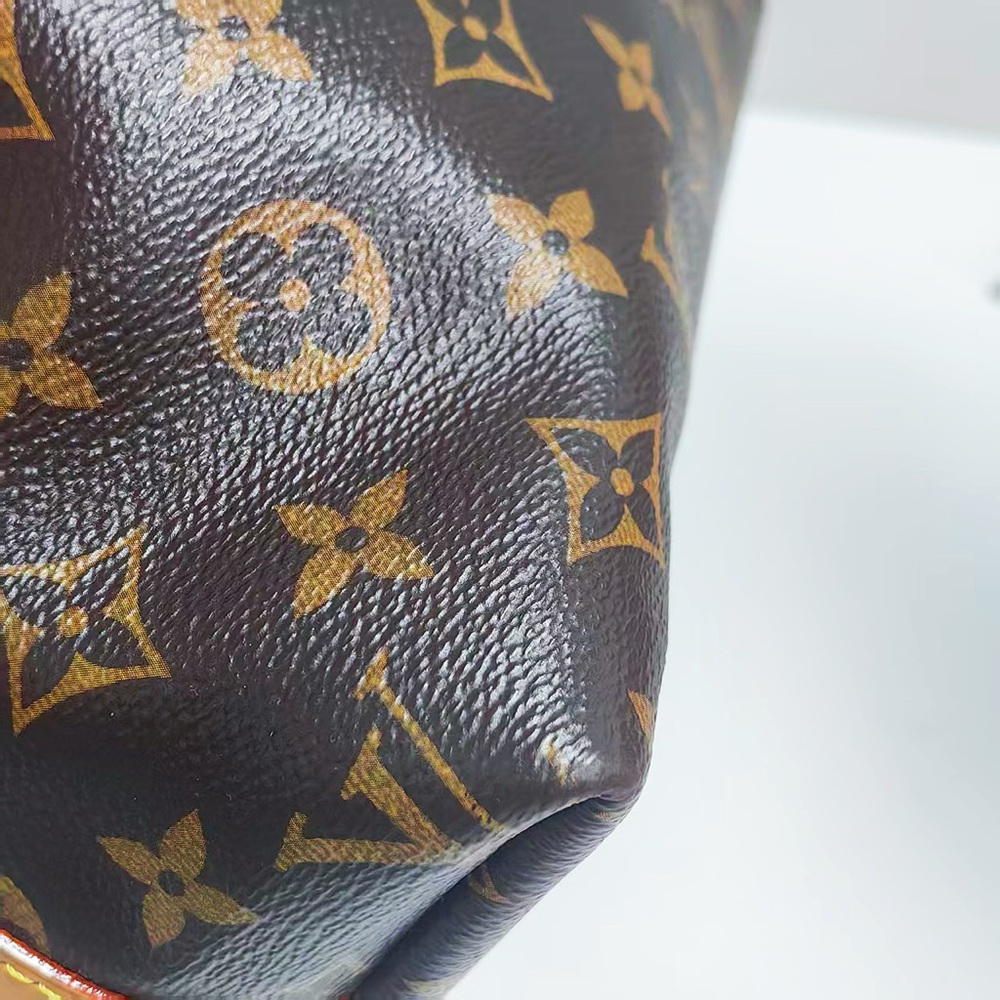 Louis Vuitton Monogram Canvas Carryall PM Bag - Picture 9 of 12